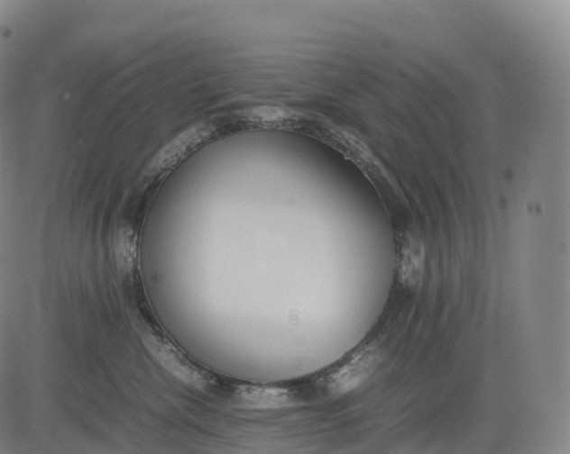 X0000083010476200702161556