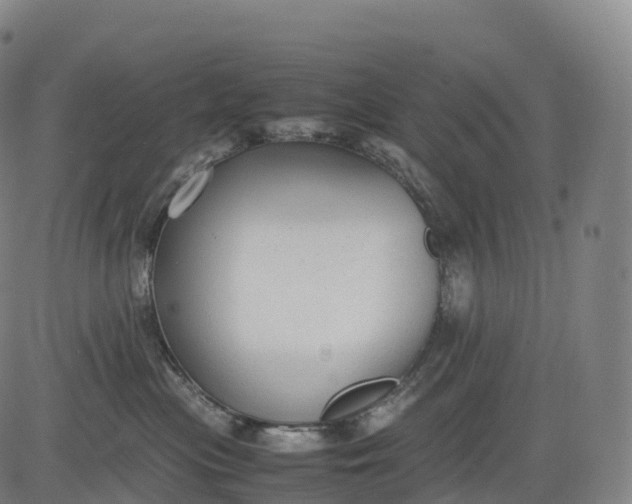 X0000083010477200702161556