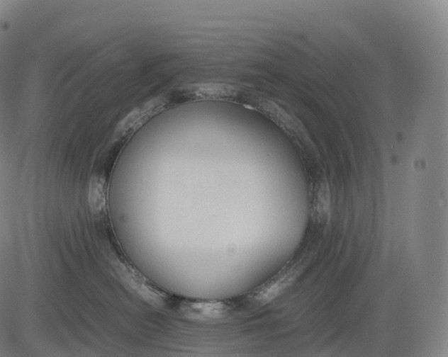 X0000083010478200702161556