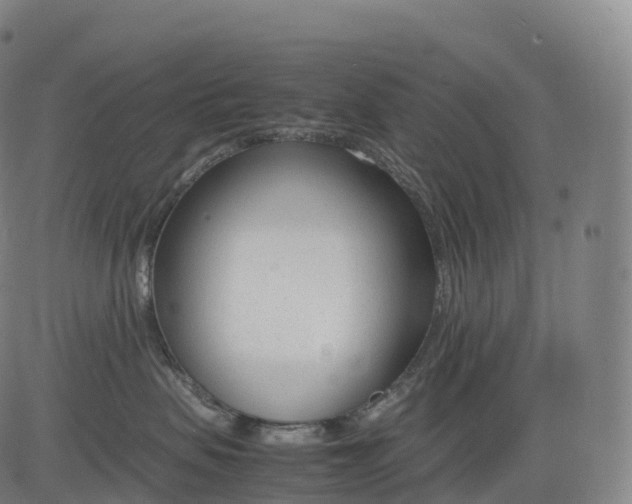 X0000083010479200702161556