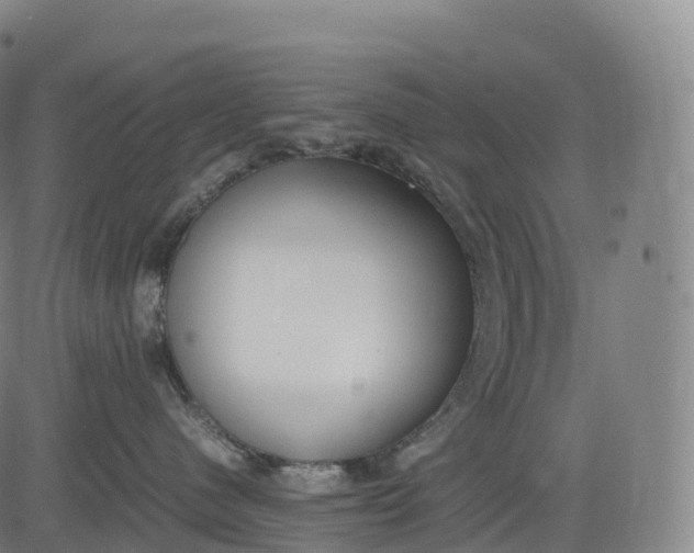 X0000083010480200702161556