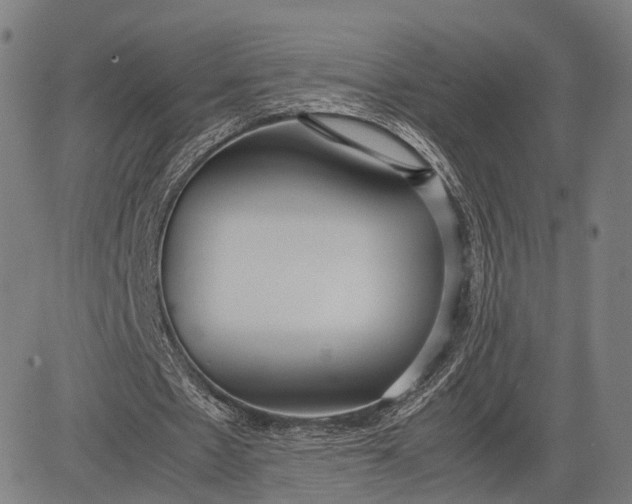 X0000083010481200702161555