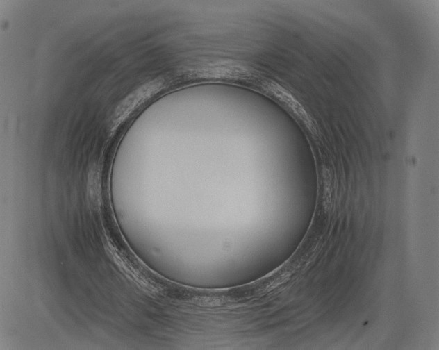 X0000083010482200702161555