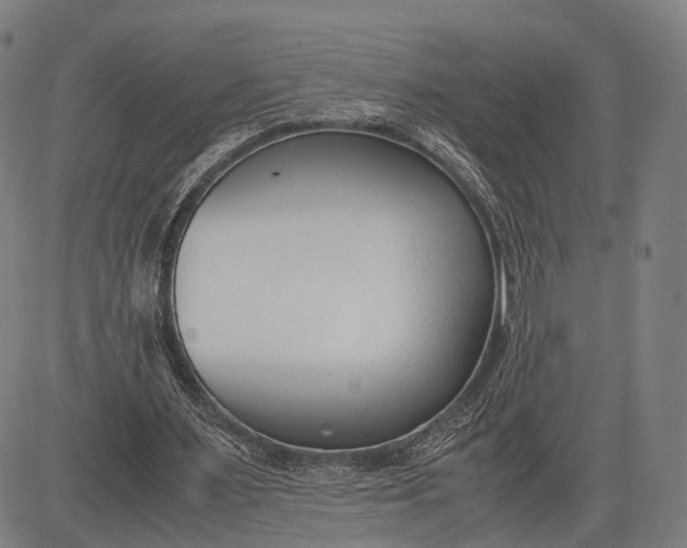 X0000083010483200702161555