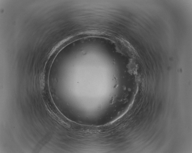 X0000083010484200702161555