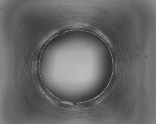 X0000083010485200702161555