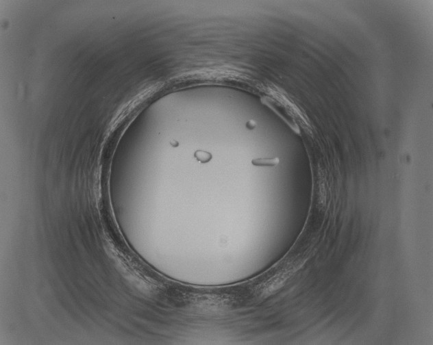 X0000083010486200702161555