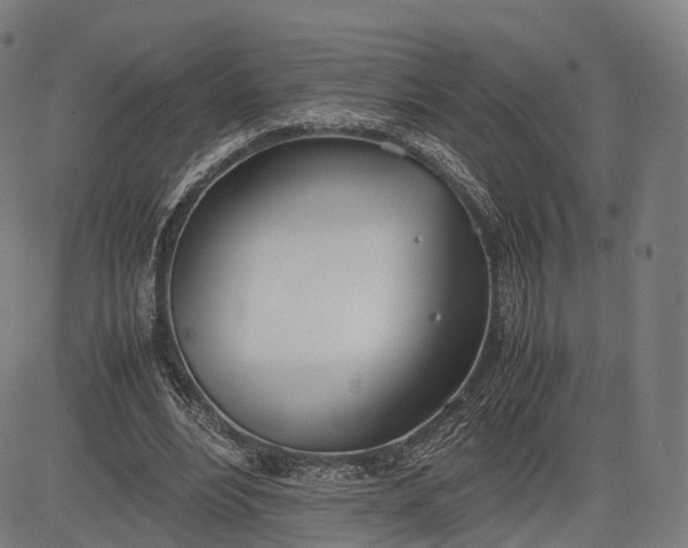 X0000083010488200702161555