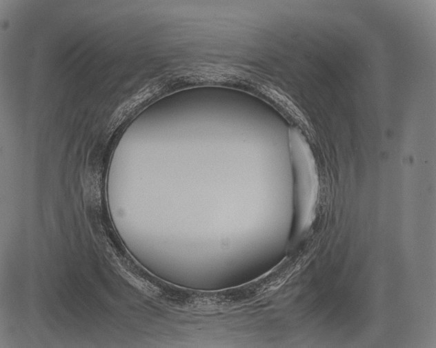 X0000083010489200702161555