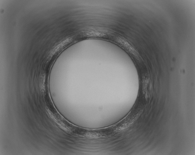 X0000083010490200702161555