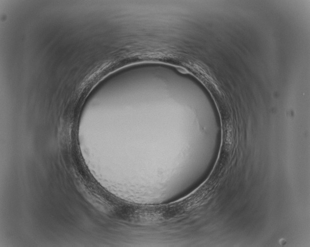 X0000083010491200702161555