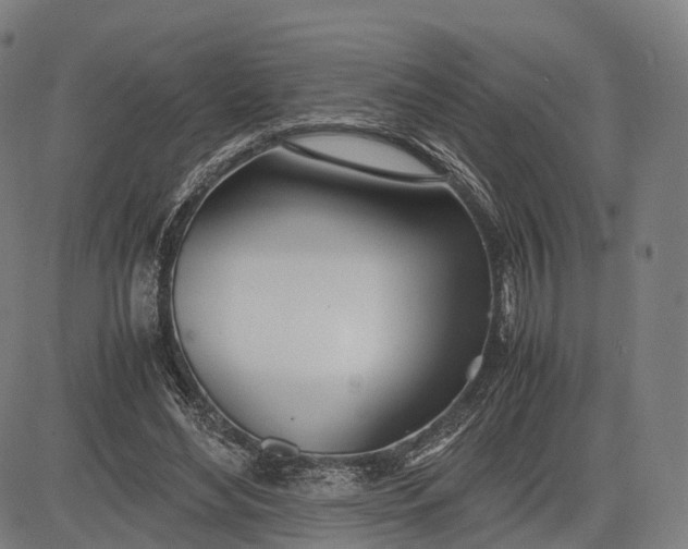 X0000083010492200702161555