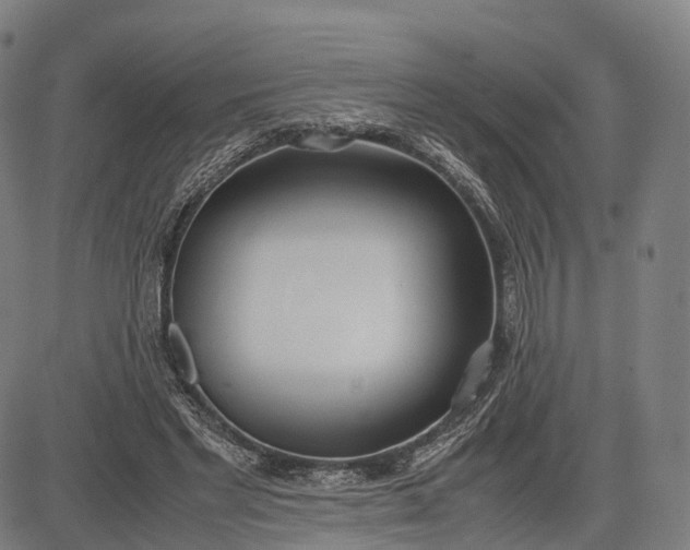 X0000083010493200702161555