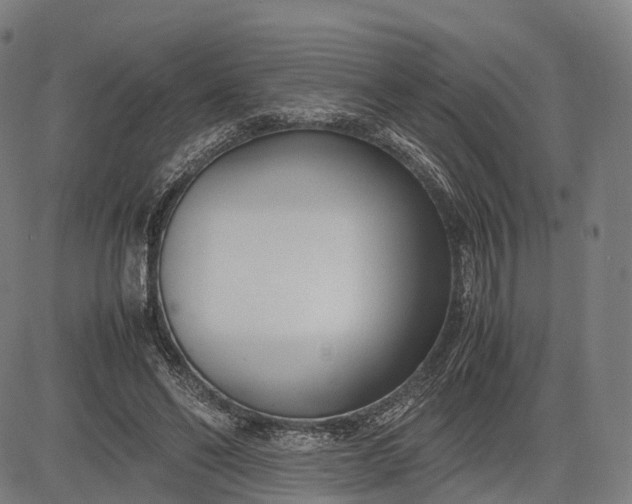 X0000083010494200702161555