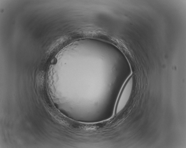 X0000083010495200702161555