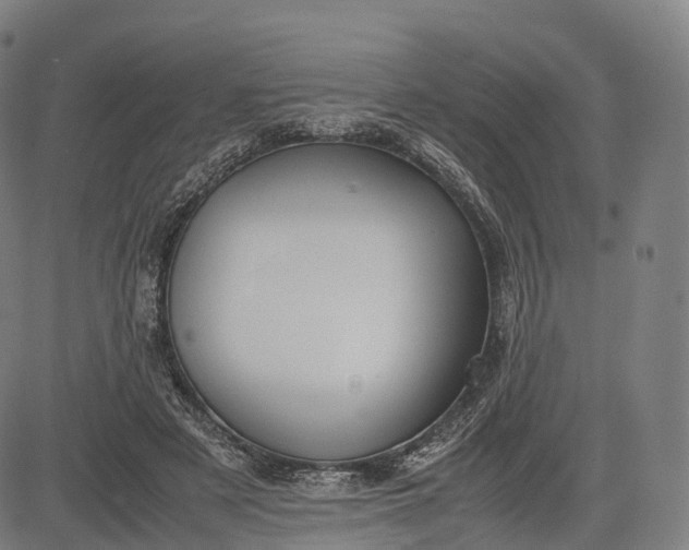 X0000083010497200702161555