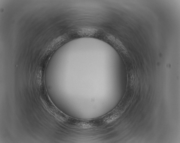 X0000083010498200702161555