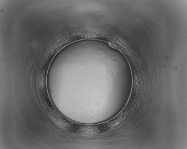 X0000083010499200702161555