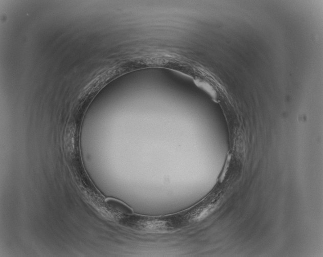 X0000083010501200702161555