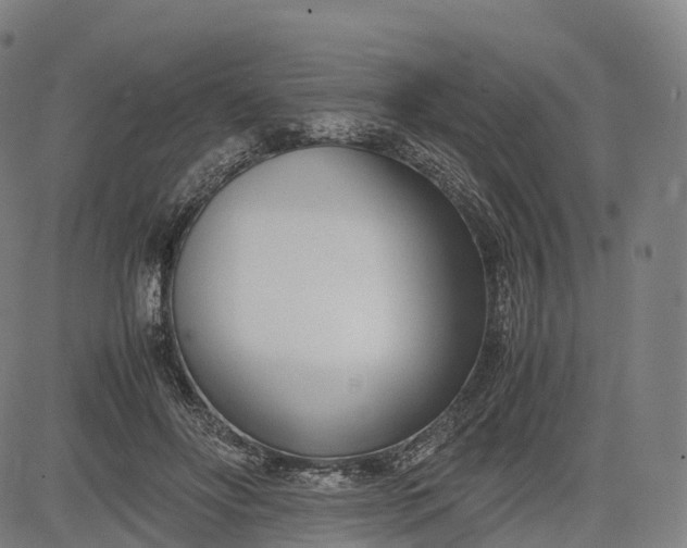 X0000083010502200702161555