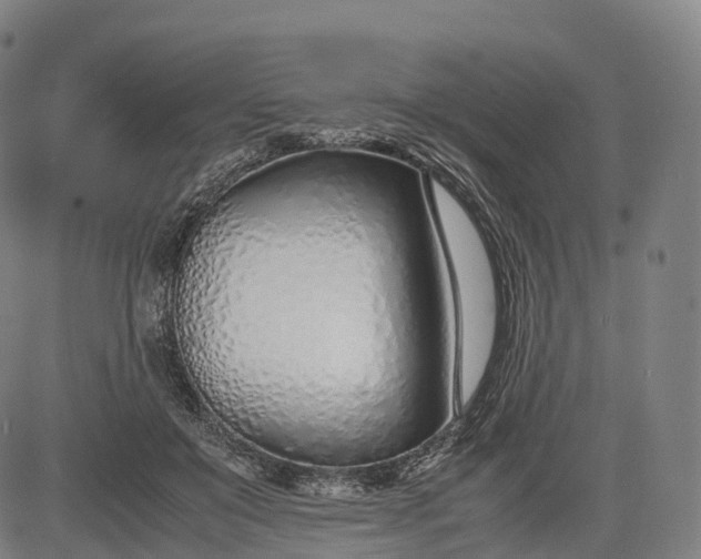 X0000083010503200702161555