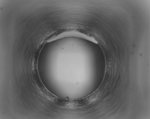 X0000083010504200702161555