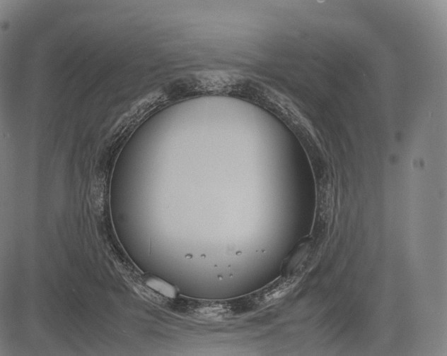 X0000083010505200702161555