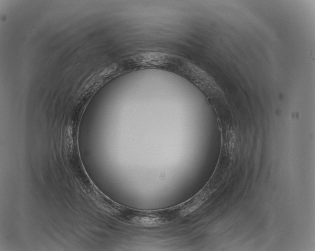 X0000083010506200702161554