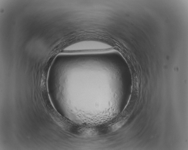 X0000083010507200702161554