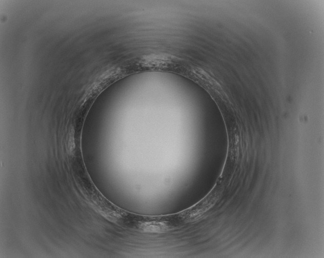 X0000083010508200702161554