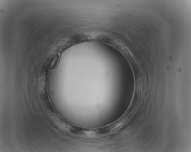 X0000083010509200702161554