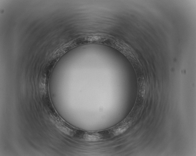 X0000083010510200702161554