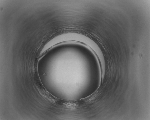 X0000083010512200702161554