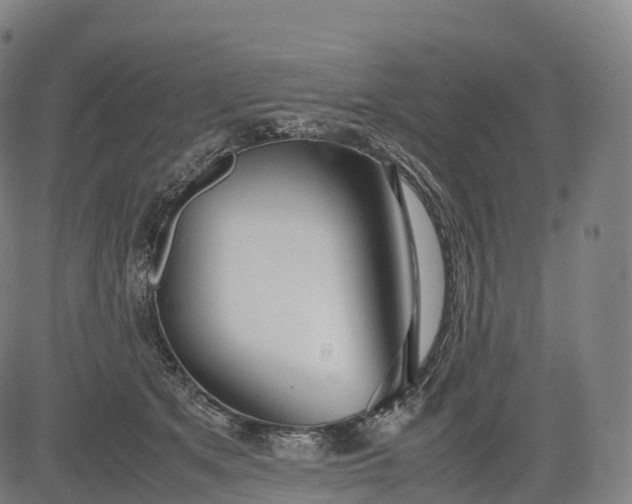 X0000083010513200702161554