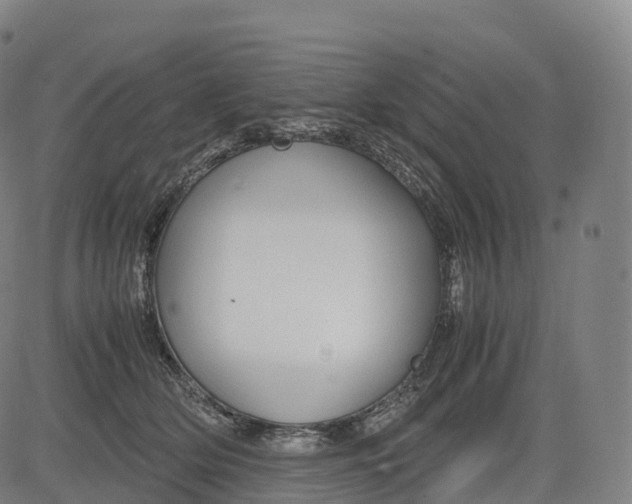 X0000083010514200702161554