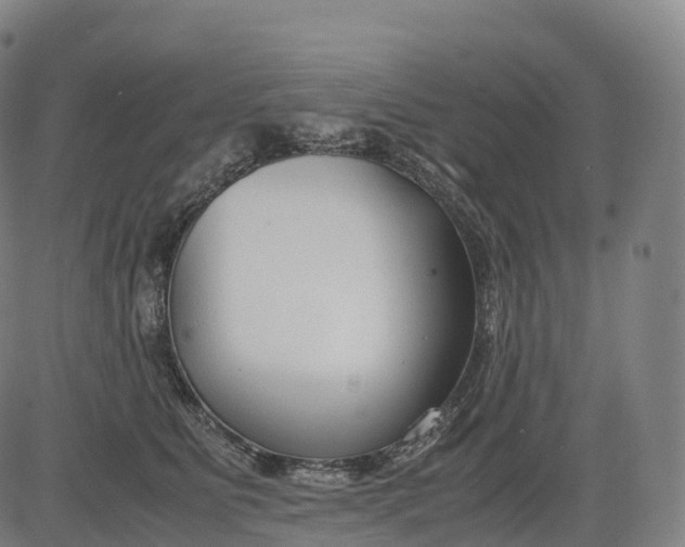 X0000083010515200702161554