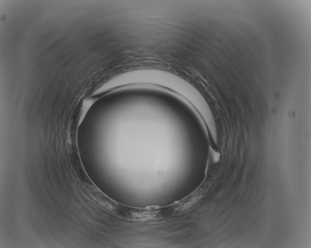 X0000083010516200702161554