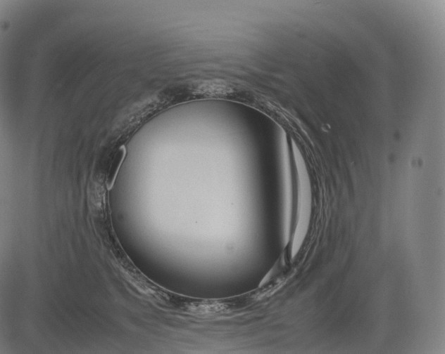 X0000083010517200702161554