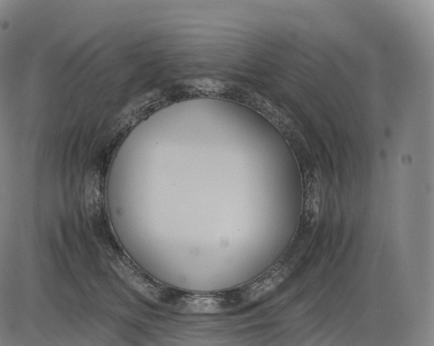 X0000083010518200702161554