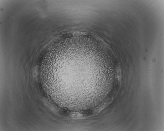 X0000083010519200702161554