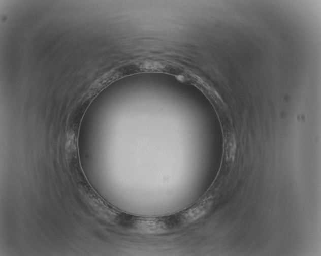 X0000083010521200702161554