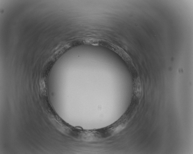 X0000083010523200702161554