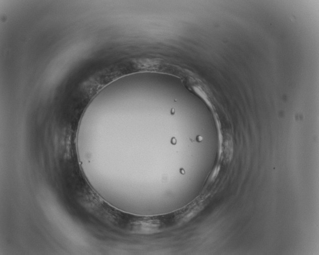 X0000083010525200702161554