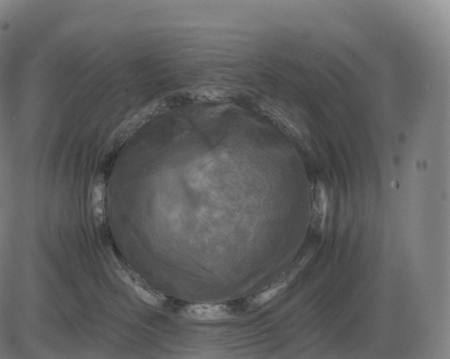 X0000083010526200702161554