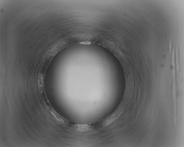 X0000083010528200702161554