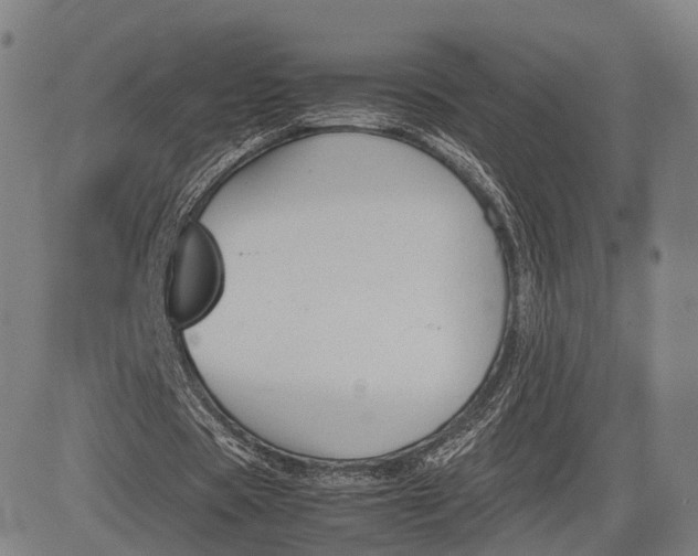 X0000083010529200702161553