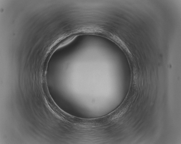 X0000083010530200702161553