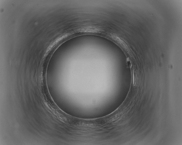 X0000083010531200702161553