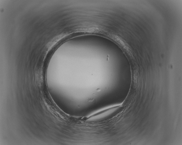 X0000083010532200702161553