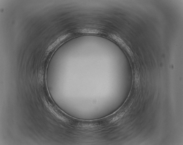 X0000083010533200702161553